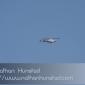 Police_2008-09-01_IMG_1948