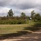 Picking Raspberries at the Afton Apple Orchard