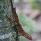 Cruise_2008-11-26_IMG_3155