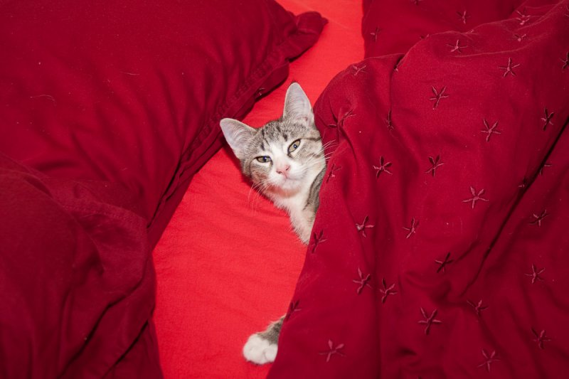 Sasha wonders who dare wake her up?