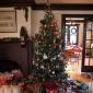 O Christmas Tree