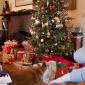 Presents