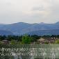 The Hogbacks behind houses on a lake at the Colorado Irish Festival