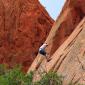 Garden of the Gods Park in Colorado Springs, CO