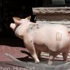 A pig on the Pearl Street Mall in Boulder, CO