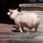 A pig on the Pearl Street Mall in Boulder, CO