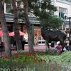A moose sculpture on the Pearl Street Mall in Boulder, CO