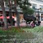 A moose sculpture on the Pearl Street Mall in Boulder, CO