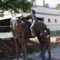 A sculpture in Golden, CO
