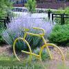 A bike rack in Golden, CO