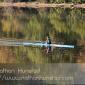 A rower on the Mississippi River.