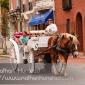 A carriage in the Old City in Philadelphia