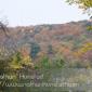 Saint_Croix_River_2008-10-11_IMG_2310