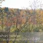 Saint_Croix_River_2008-10-11_IMG_2311