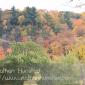 Saint_Croix_River_2008-10-11_IMG_2314