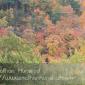 Saint_Croix_River_2008-10-11_IMG_2315