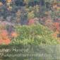 Saint_Croix_River_2008-10-11_IMG_2316