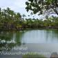 Another fish pond