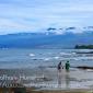 Kohala