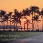 Palm trees at sunset