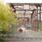 Cedar_Bridge_2008-09-27_IMG_2124