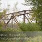Cedar_Bridge_2008-09-27_IMG_2170