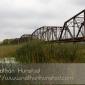 Cedar_Bridge_2008-09-27_IMG_2173