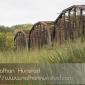 Cedar_Bridge_2008-09-27_IMG_2178