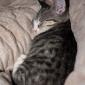 ???? sleeping