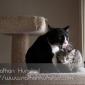 ???? showing how much he likes his little sister ???? by licking her