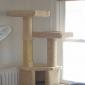 CatTree_2008-08-06_IMG_0971