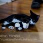 Misha_2008-08-06_IMG_0984