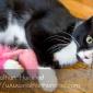 Misha_2008-08-06_IMG_0987