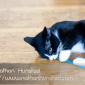 Misha_2008-08-06_IMG_1006