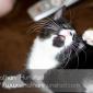 Misha_2008-08-06_IMG_1019