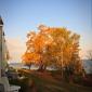 More fall color