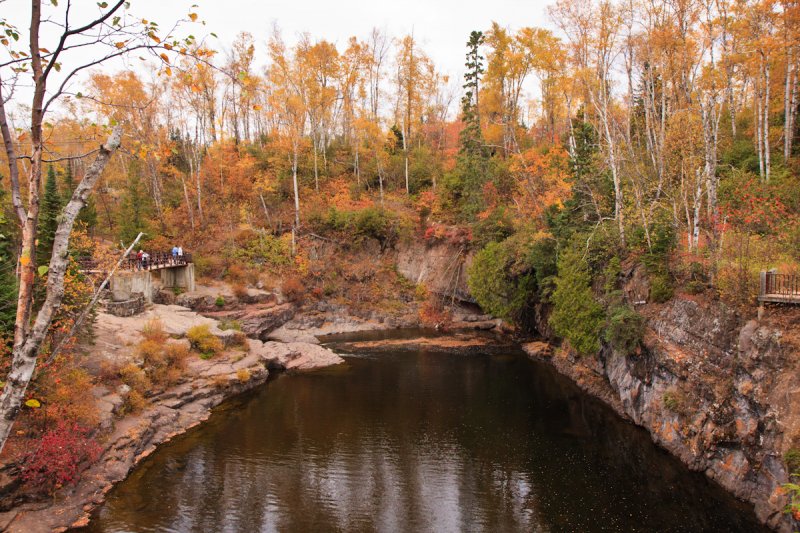 Fall Color