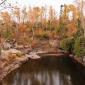 Fall Color