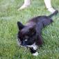 Emma_2008-07-12_0001