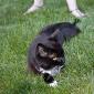 Emma_2008-07-12_0002