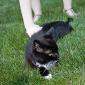 Emma_2008-07-12_0003