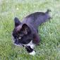 Emma_2008-07-12_0006