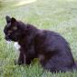 Emma_2008-07-12_0009