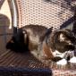 Emma_2008-07-12_IMG_0262