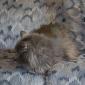 Grace_2008-07-10_IMG_0140