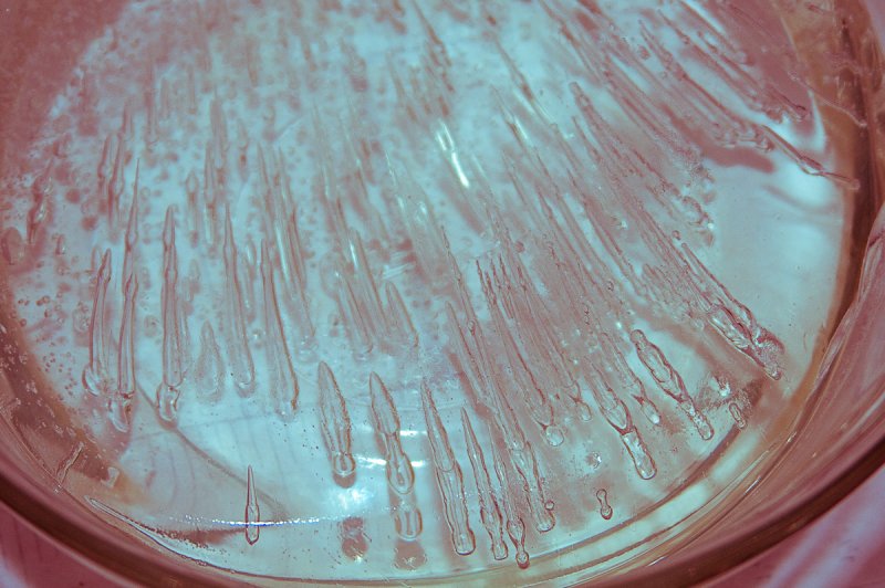 20090122-IMG_3843