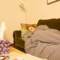 Julia_2008-11-15_IMG_2655