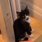 Misha_2008-07-07_0004