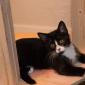 Misha_2008-07-07_0006