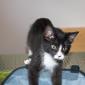 Misha_2008-07-07_0008